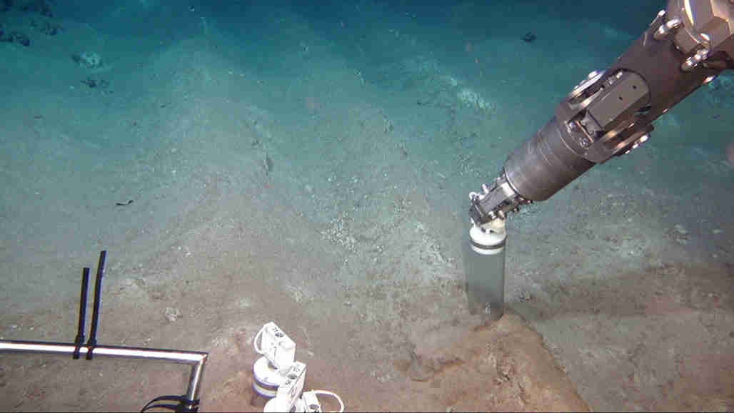 深海挖掘可能几十年来损坏水下生态系统