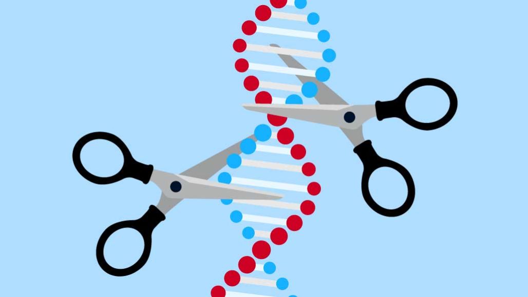 CRISPR进入其第一次人类临床试验