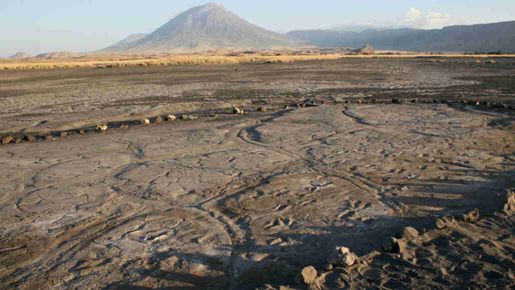 非洲已经找到了古代人类足迹的最大收集