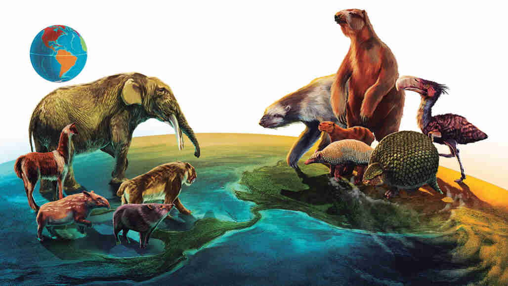 为什么南美洲的古代哺乳动物可能已经失去了北方同行