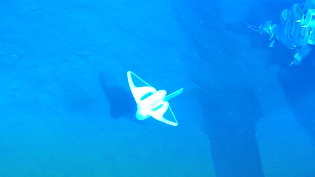 这种软机器人在海洋最大的深度处承受破碎压力