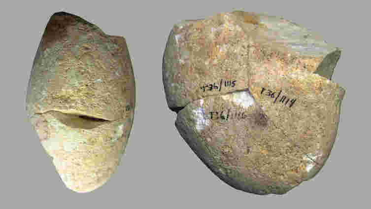 在350,000年前，最古老的已知研磨工具使用了