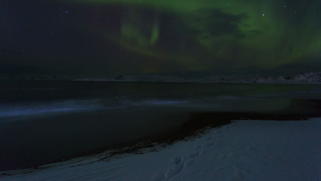 陷入冰下，光亮的藻类在黑暗的北极冬天生长