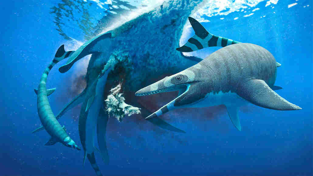 这个古老的海爬行动物有一个像其他人一样的叮咬