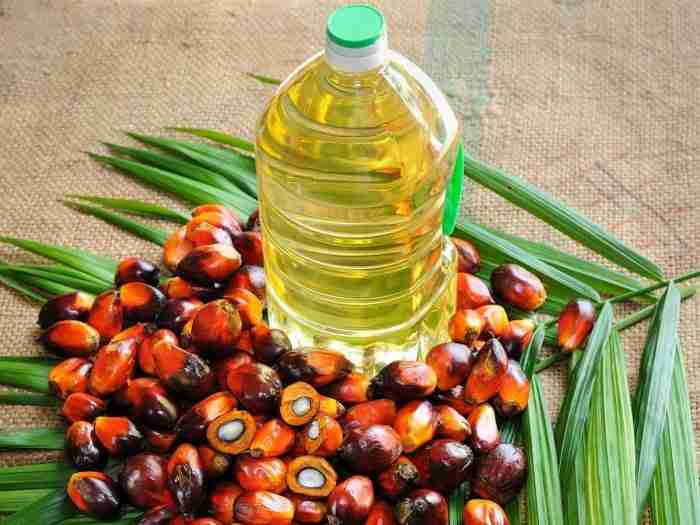 绿色和平组织表示跨国公司未披露棕榈油来源