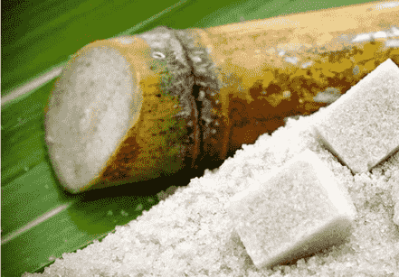 京东推广源自甘蔗的可食用纤维活性抗衰老成分