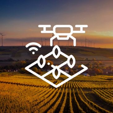 IIT Guwahati为农民开发基于AI的平台，以帮助提高农作物产量
