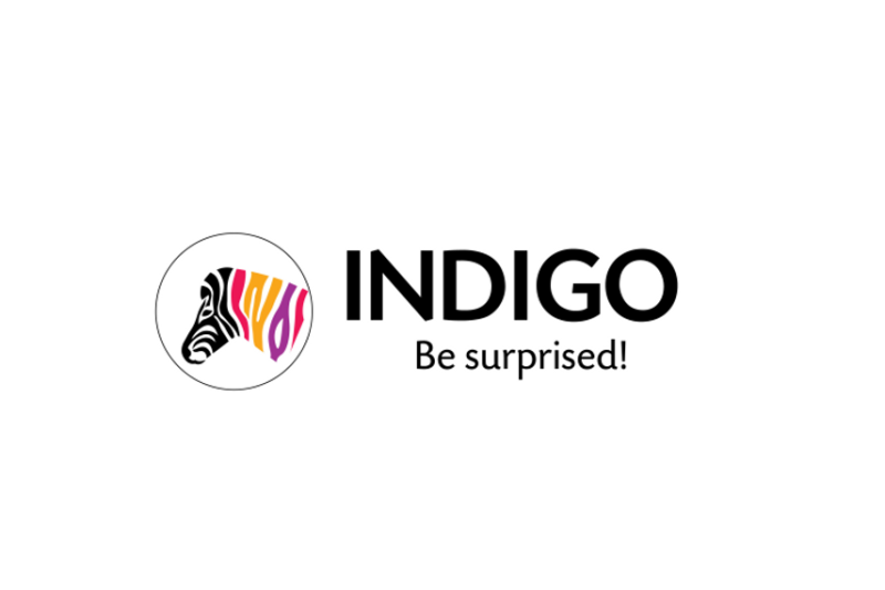 当天Indigo Paints IPO认购117.02倍