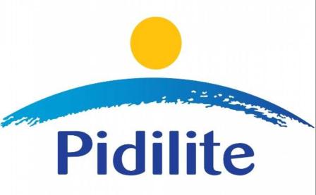 Pidilite Q3 21报告销售增长20％