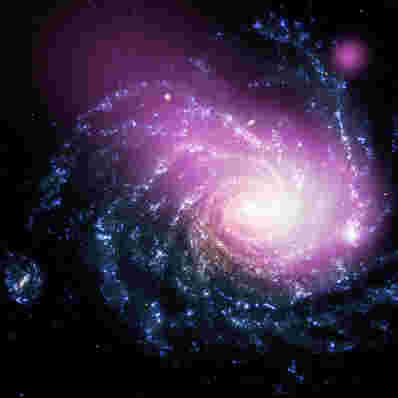 钱德拉发现矮星系碰撞到NGC 1232中