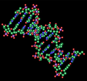 新技术使研究人员可以用光控制基因