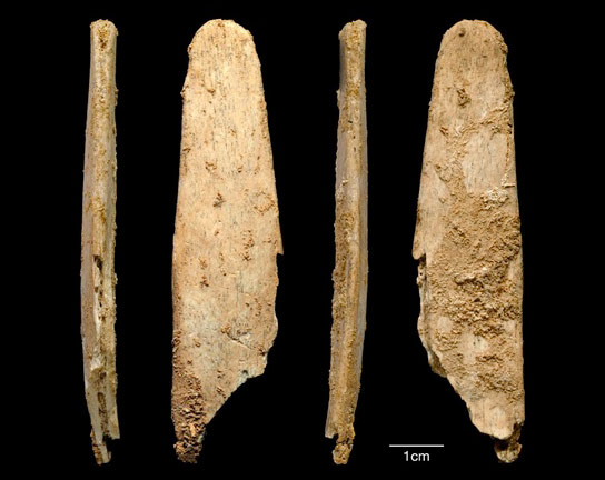 发现显示，尼安德特人是欧洲第一家专业骨骼工具