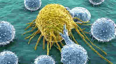 癌症科学家证明了癌症扩散的长期理论