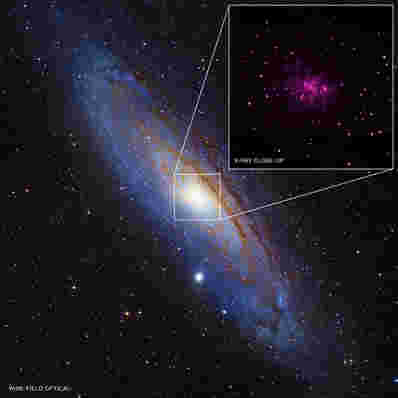 Chandra数据显示M31中的26个新的黑洞候选人