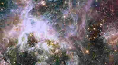 哈勃观看塔兰图拉特星云的内部