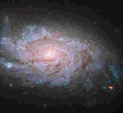 哈勃视图螺旋Galaxy NGC 1084