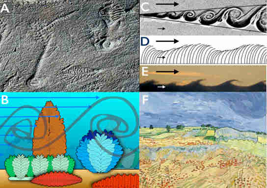 研究揭示了地球早期海洋的生活规模的生活