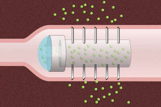 新的药物输送胶囊将药物直接注入消化道的衬里