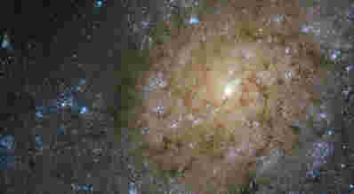 哈勃望远镜拍摄了螺旋星系NGC 7793