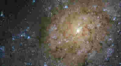 哈勃望远镜拍摄了螺旋星系NGC 7793