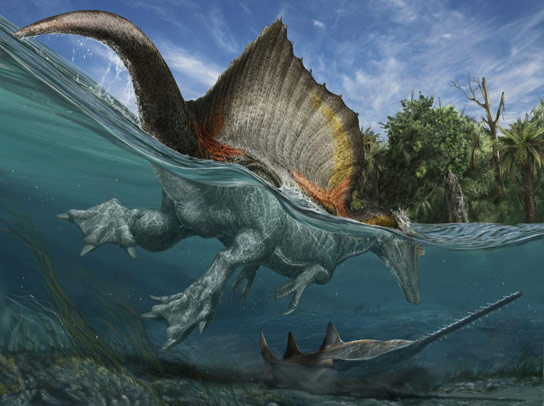 第一个真正的半恐龙，spinosaurus aegyptiacus
