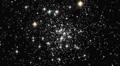 本周的哈勃图像 - 球簇NGC 6535
