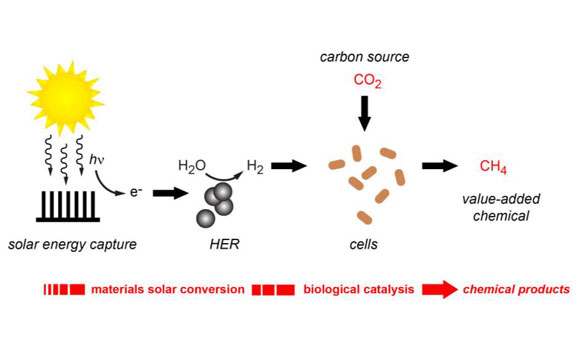 伯克利实验室使用太阳能和可再生氢来生产甲烷