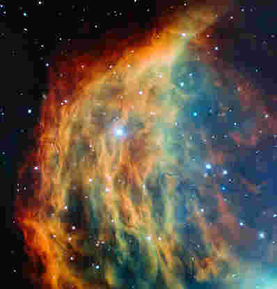水母星云的新ESO图像
