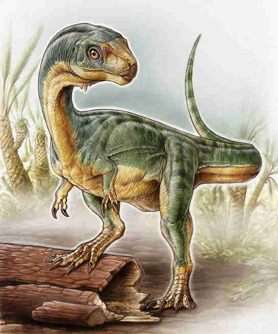 古生物学家发现奇怪的鸭嘴兽'恐龙