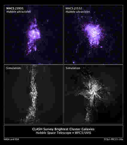 银河系的证据由黑洞管制