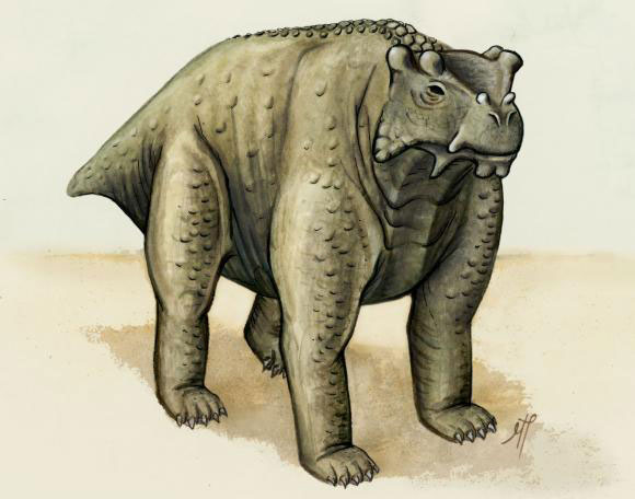 爬行动物丛书杂志akokanensisear  - 最早的已知生物在所有四个中行走