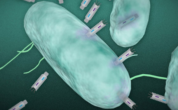 研究人员创建杀死有害细菌的工程颗粒
