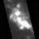 天文学家绘制了迄今为止最全面的《 Eta Carinae》