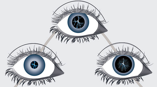 瞳孔直径与任务性能相关联