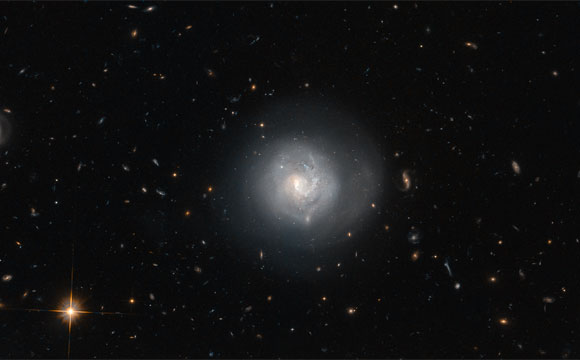 本周的哈勃图像 - 透镜星系MRK 820