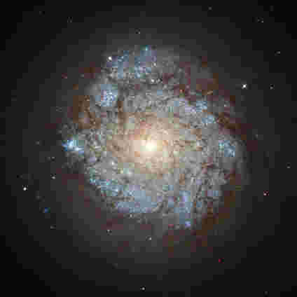 本周的哈勃图像 - 螺旋星系NGC 278