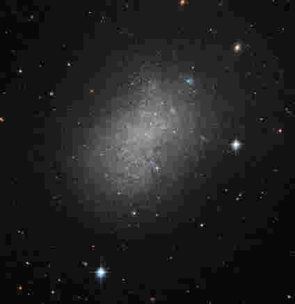 Hubble Views Dwarf Galaxy NGC 5264