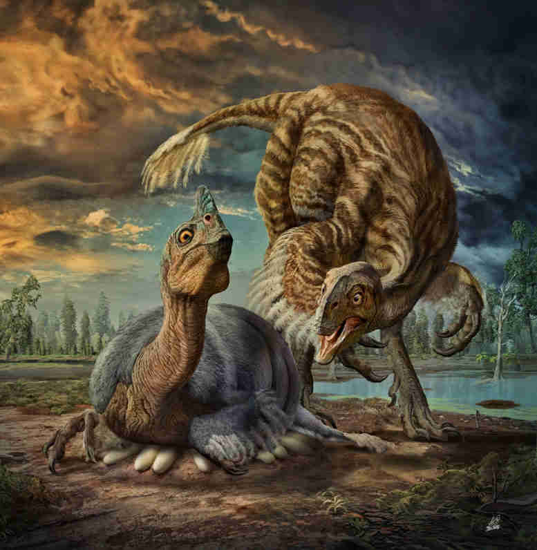科学家识别新的巨型鸟类恐龙
