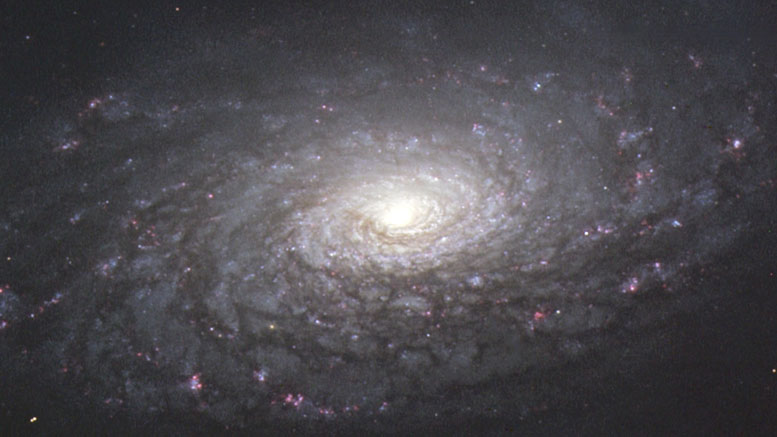 本周的斯巴鲁望远镜图像 - 螺旋星系M63