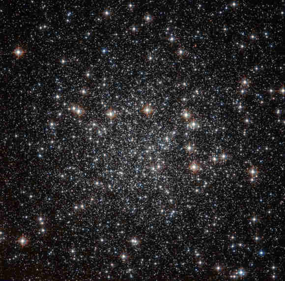本周的哈勃图像 - 球状群体NGC 4833