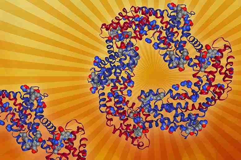 新模式可以帮助科学家设计用于人造光合作用的材料