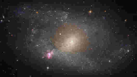 哈勃太空望远镜在NGC 5398的艾德布斯特观看