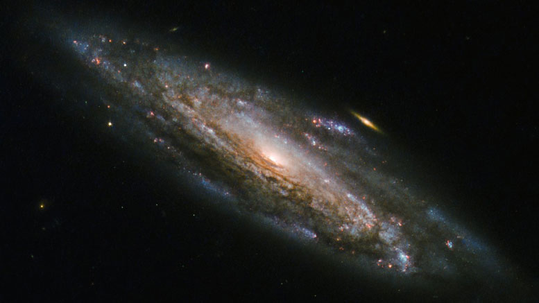 Hubble象的一周 - 螺旋星系NGC 5559