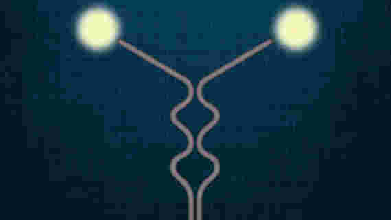 奥林巴斯实验表明，在电子与质子相互作用期间交换了两个光子