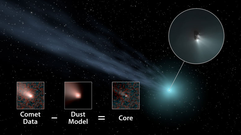 Noowise揭示了彗星人群的尺寸分布