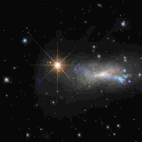 本周的哈勃图像 -  TYC 3203-450-1和NGC 7250
