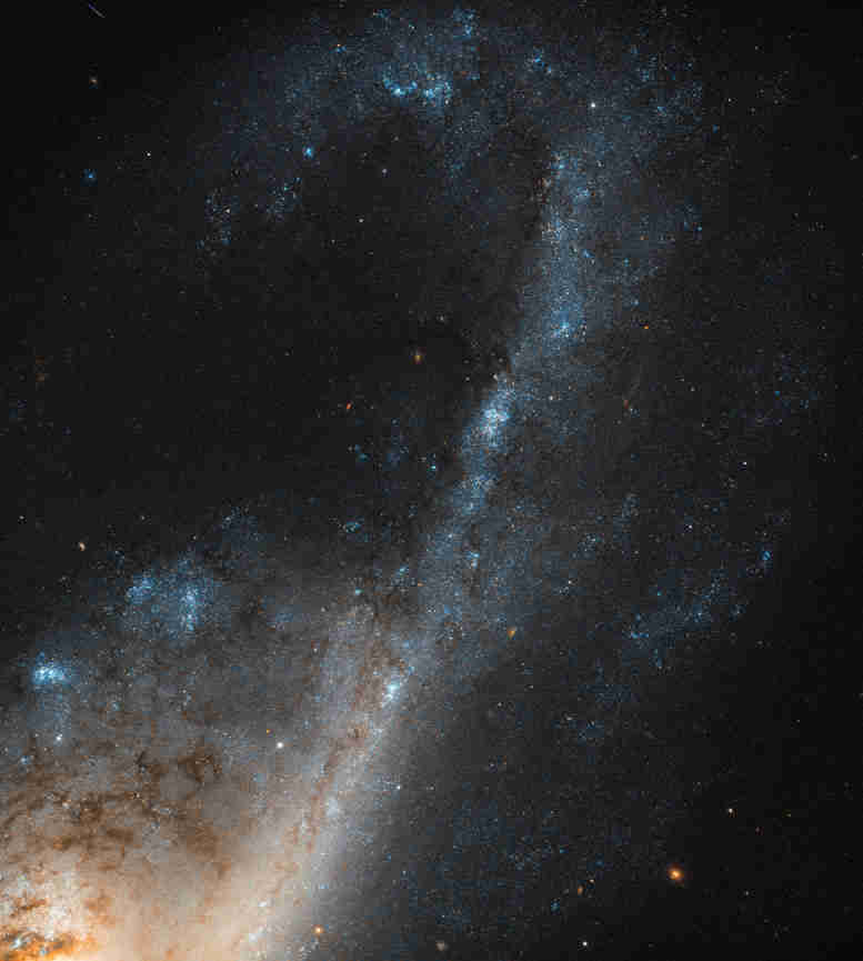 哈勃周图像-处女座的星暴（NGC 4536）