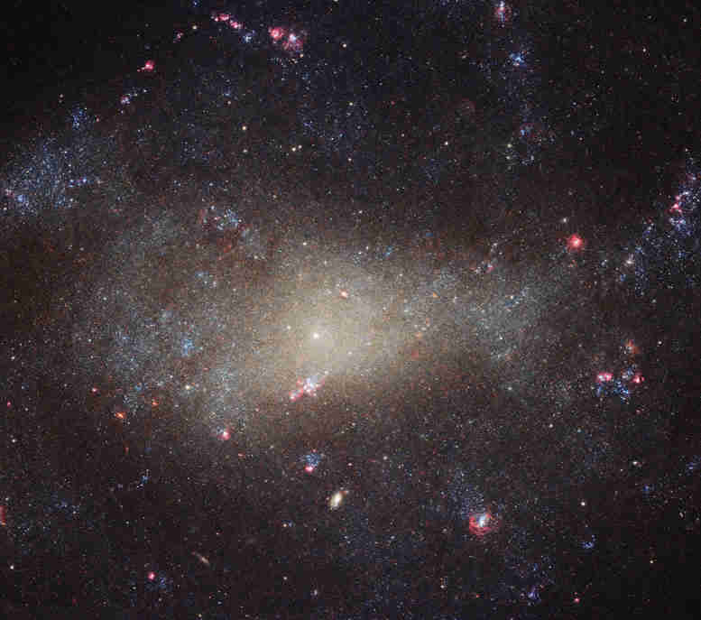 哈勃周图像–星系NGC 4242