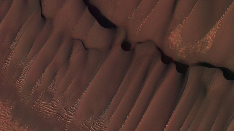 Martian沙丘的新的自入学图象在北夏天