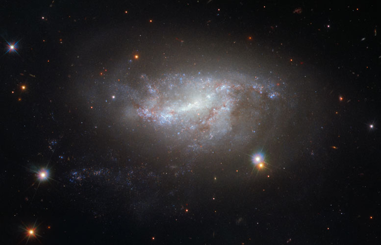 Hubble Image的一周 - 螺旋Galaxy NGC 5917